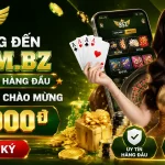 b52-banner-1