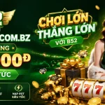 b52-banner-3
