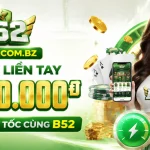 b52-banner-4
