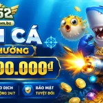 b52-fish-banner-1