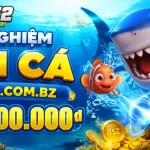 b52-fish-banner-3