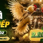 b52-livecasino-banner-3