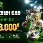 b52-sports-banner-2