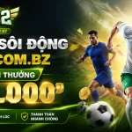 b52-sports-banner-3